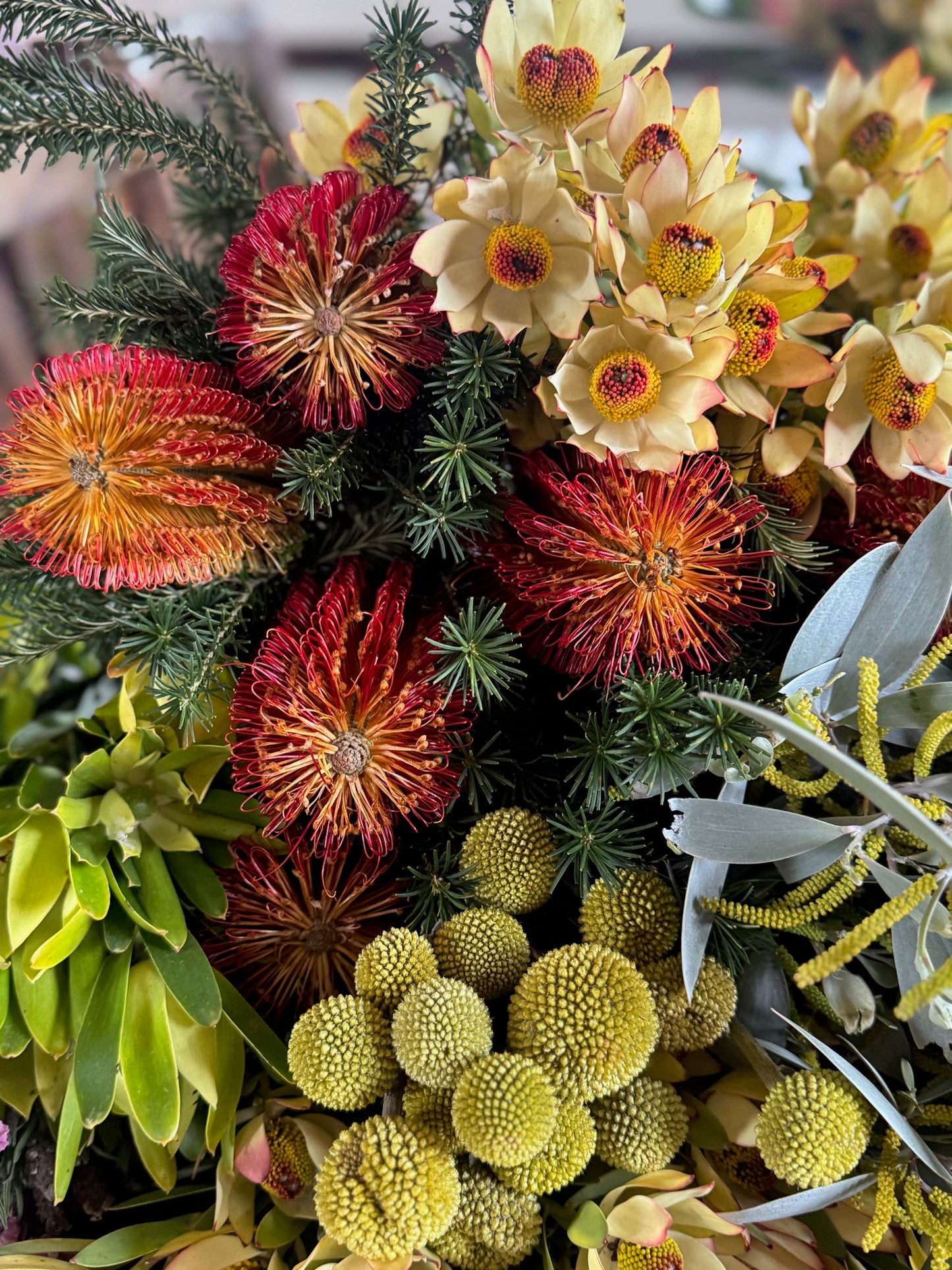 banksia, Leucadendron and Billy button