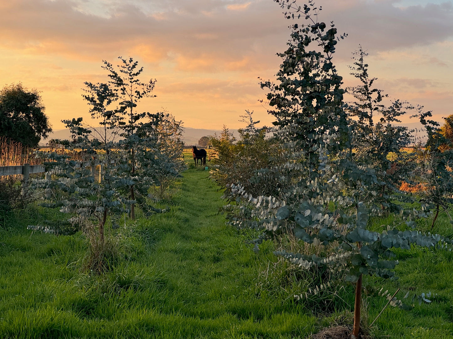 Wreath and Christmas Bauble Making Workshop - Sunday 7th December at 10am